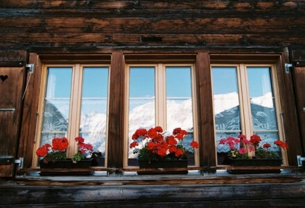 木屋 鲜花 雪山