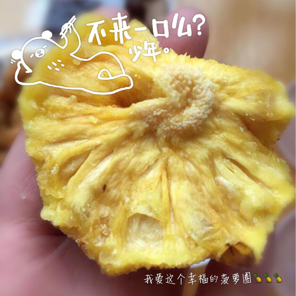 幸福菠萝圈