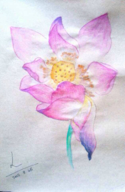 亭亭玉立一水间