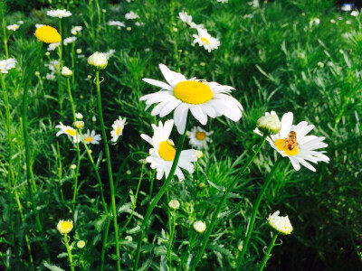 虽已过，仍留香