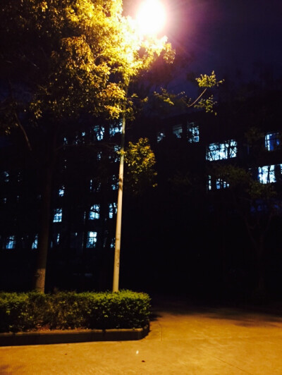 校园夜景2