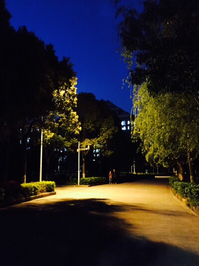 校园夜景3
