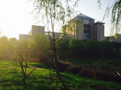 校园还是那么美