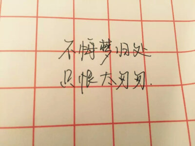 不悔梦归处，只恨太匆匆。