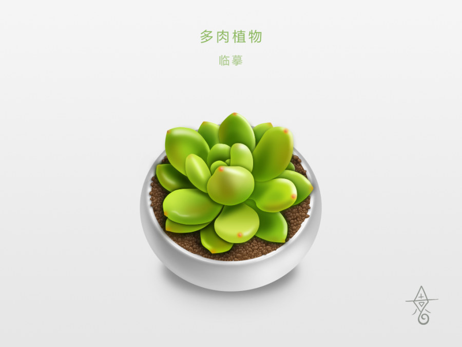 多肉植物手绘