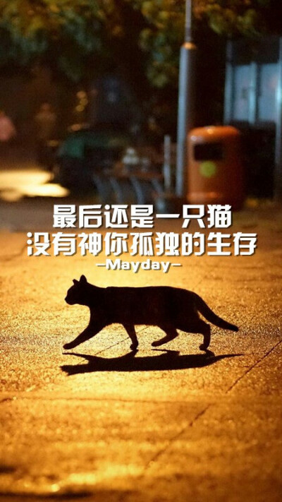 喵星人 猫先森 五月天 歌词 文字壁纸 第二人生 别睡啦起来嗨 连喵都敢去尝试你还在等