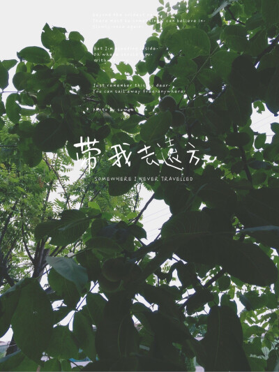 iphone手机锁屏壁纸，原创壁纸