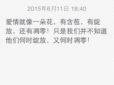 爱情就像一朵花，有含苞，有绽放，还有凋零！只是我们并不知道他们何时绽放，又何时凋零！