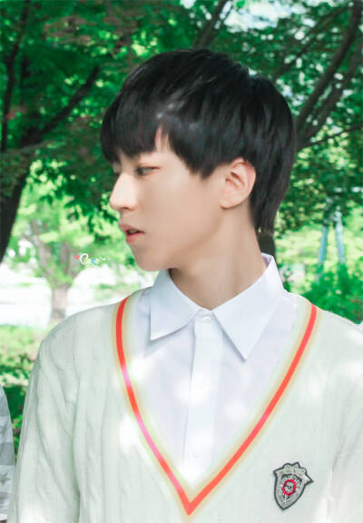 TFBOYS 王俊凯