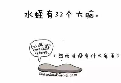 &amp;lt;冷知识&amp;gt;