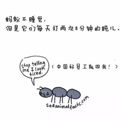 &amp;lt;冷知识&amp;gt;