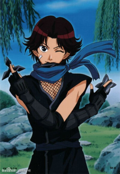 网球王子 菊丸英二