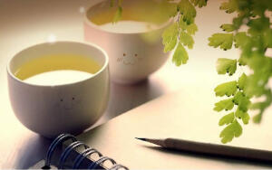 【中医教你如何快速去除体内各种火】①喉干嗓哑：饮淡盐水；服蜜梨膏；饮橘皮糖茶；②咽喉肿痛：吃梨；③口长水泡：切几片生姜入口咀嚼 ，可使水泡慢慢消除；④嘴唇干裂：黄瓜猕猴桃汁；⑤头发干枯：蜜枣核桃羹；⑥其他去火方法：吃柚子，喝绿豆汤可去火。饮茶以铁观音和绿茶的效果最好。