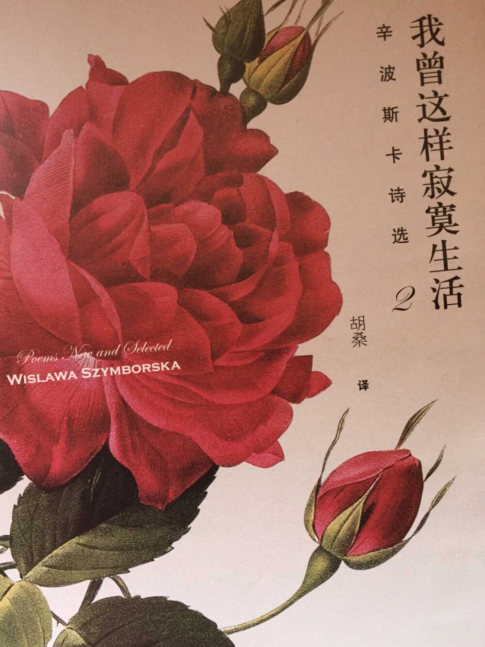 我偏愛寫詩的荒謬、胜于不写诗的荒谬