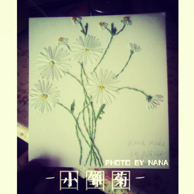 它就是小向日葵。不完美才完美。