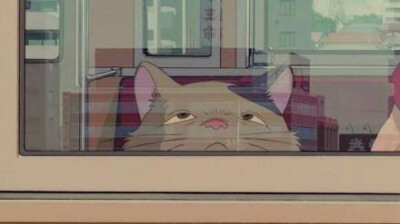 喜欢上你，并不是你长的好不好看的原因，而是你在特殊的时间里给了我别人给不了的感觉。