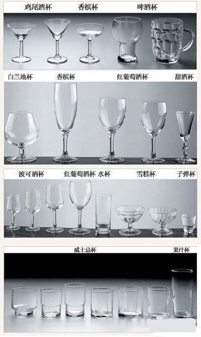  酒杯