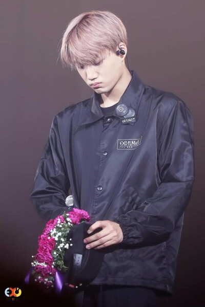 The EXO luXion Kai 金钟仁