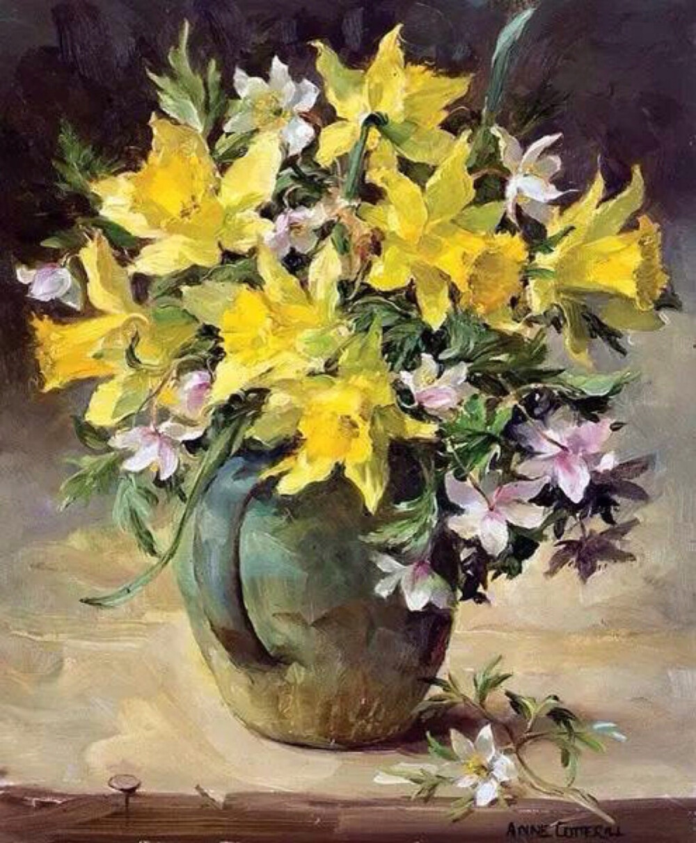 Anne Cotterill