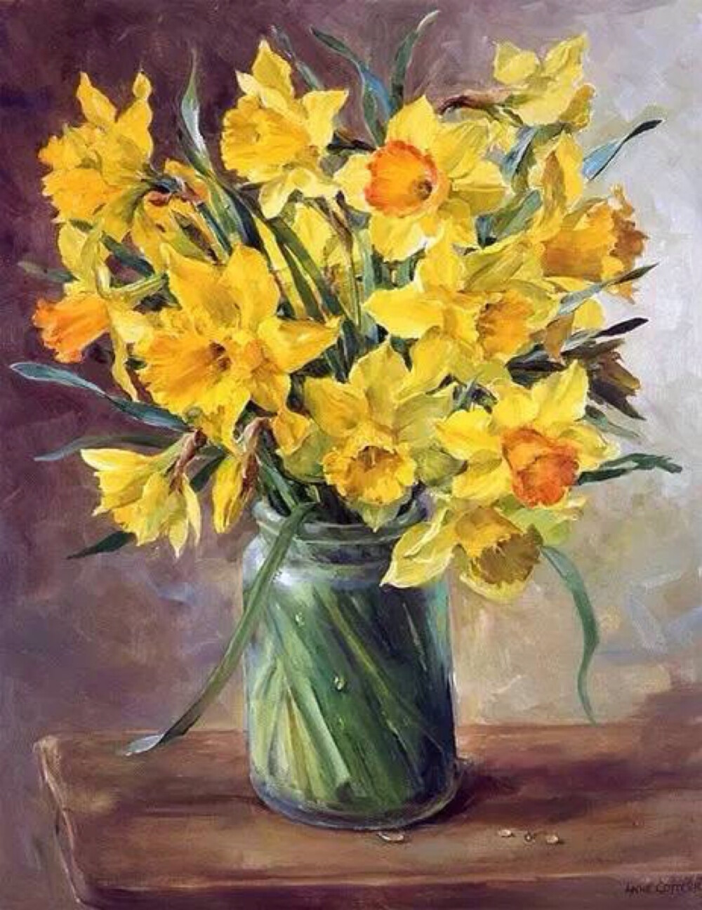 Anne Cotterill