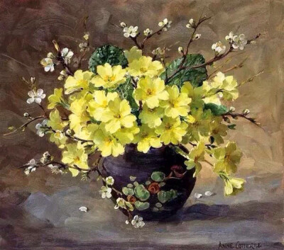 Anne Cotterill