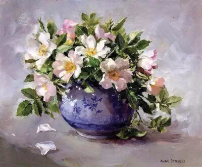 Anne Cotterill