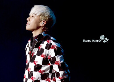 BIGBANG MADE TOUR 胜利 李胜贤 CR:Gentle Hustlin