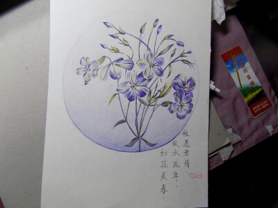 如花美眷，似水流年，惟愿君惜。