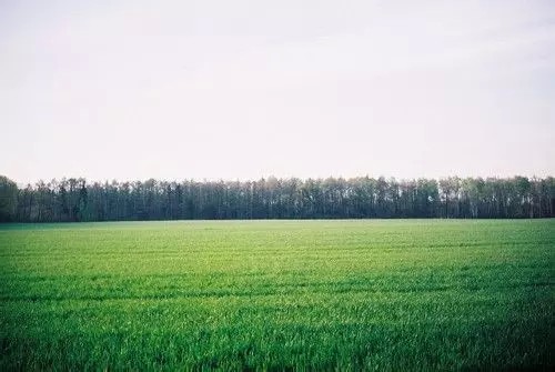 [男哥の小铁盒]我们去大草原的湖边等候鸟飞回来