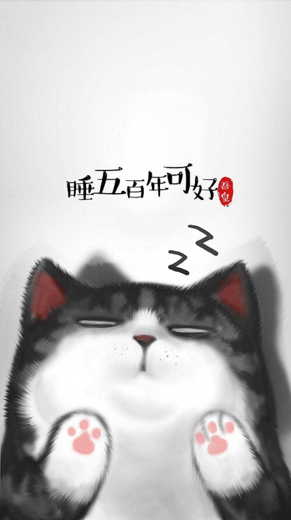 白茶的猫猫壁纸哟