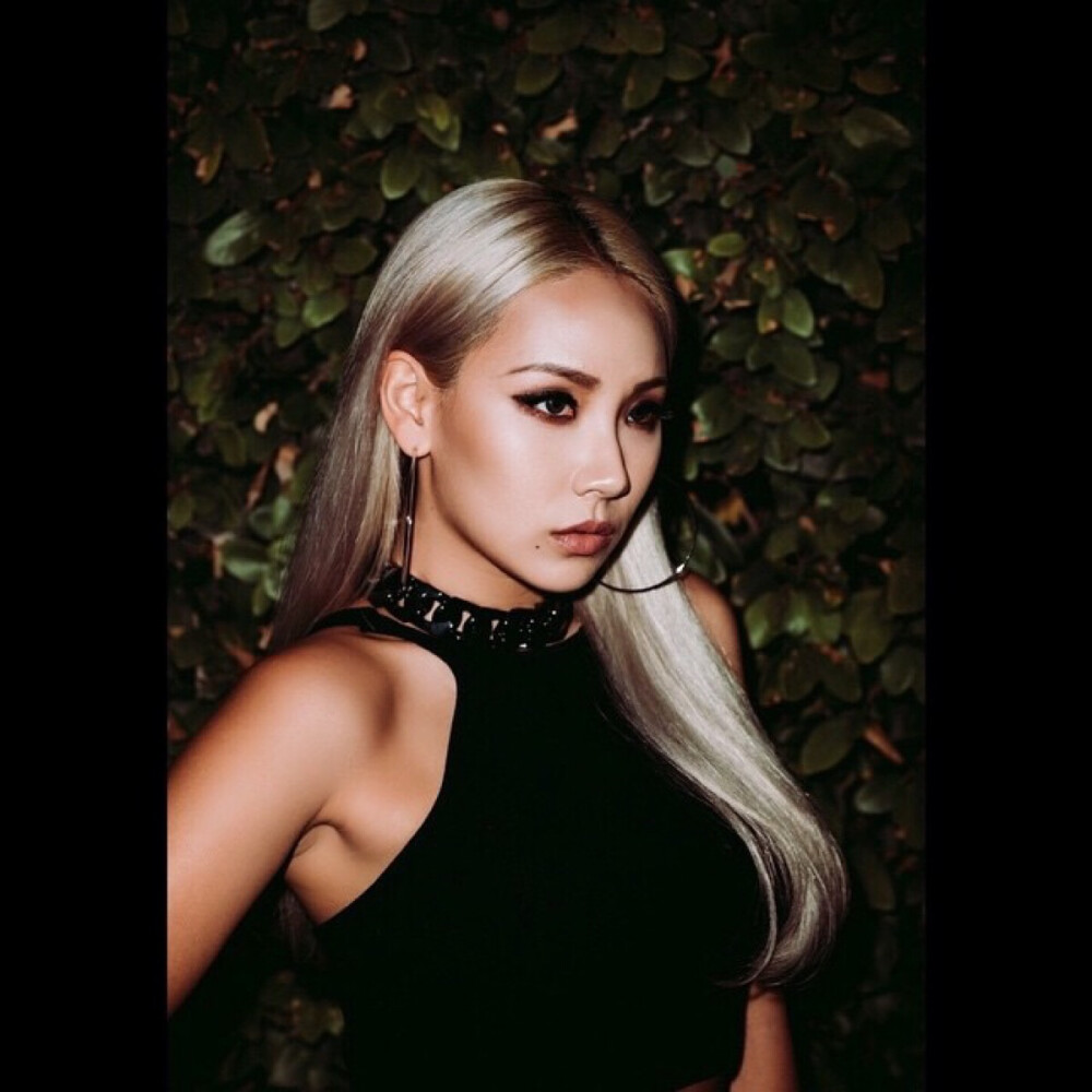 Cl 2ne1