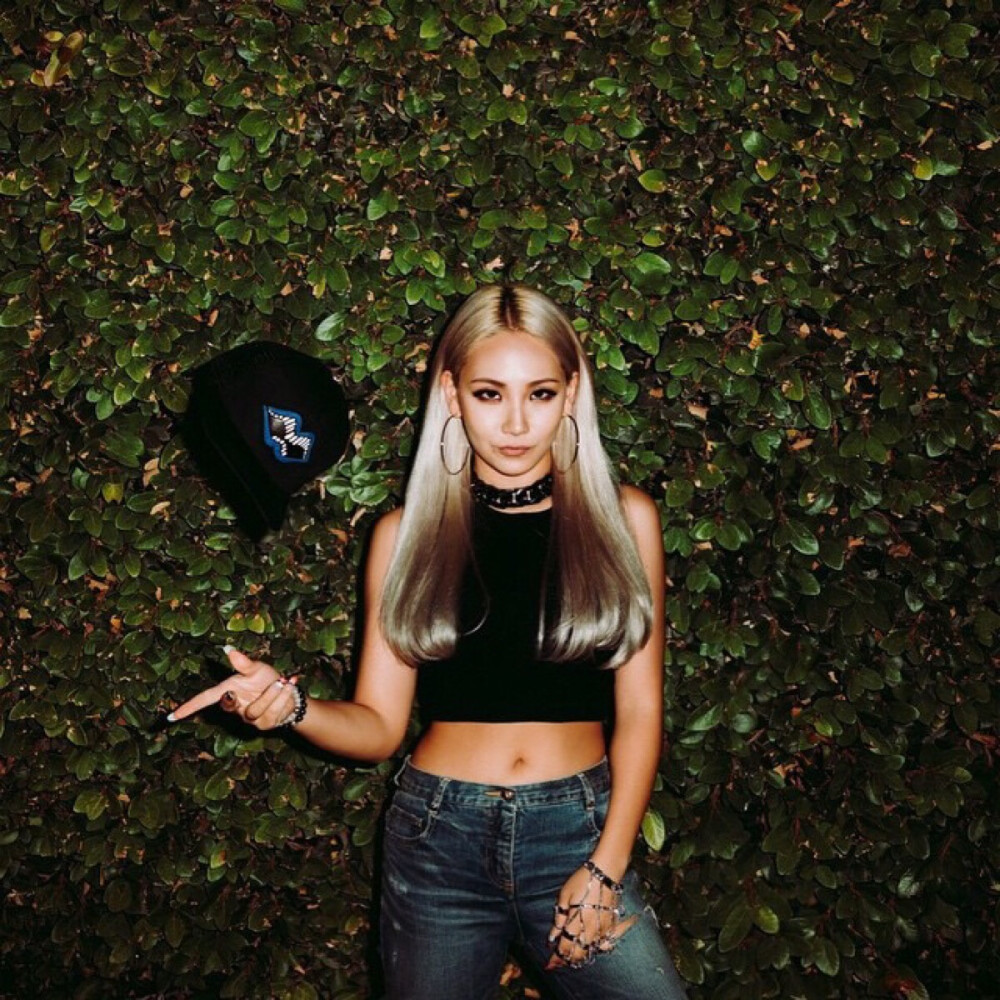 Cl 2ne1