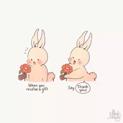 一只胖兔子的幸福生活