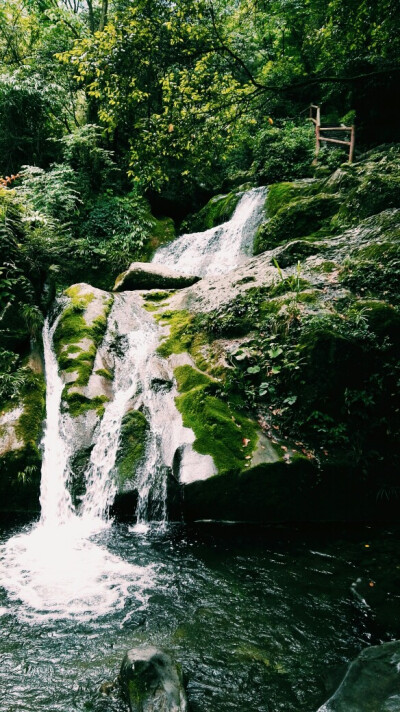 青城 水