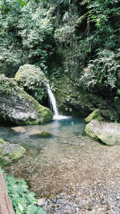 青城 水