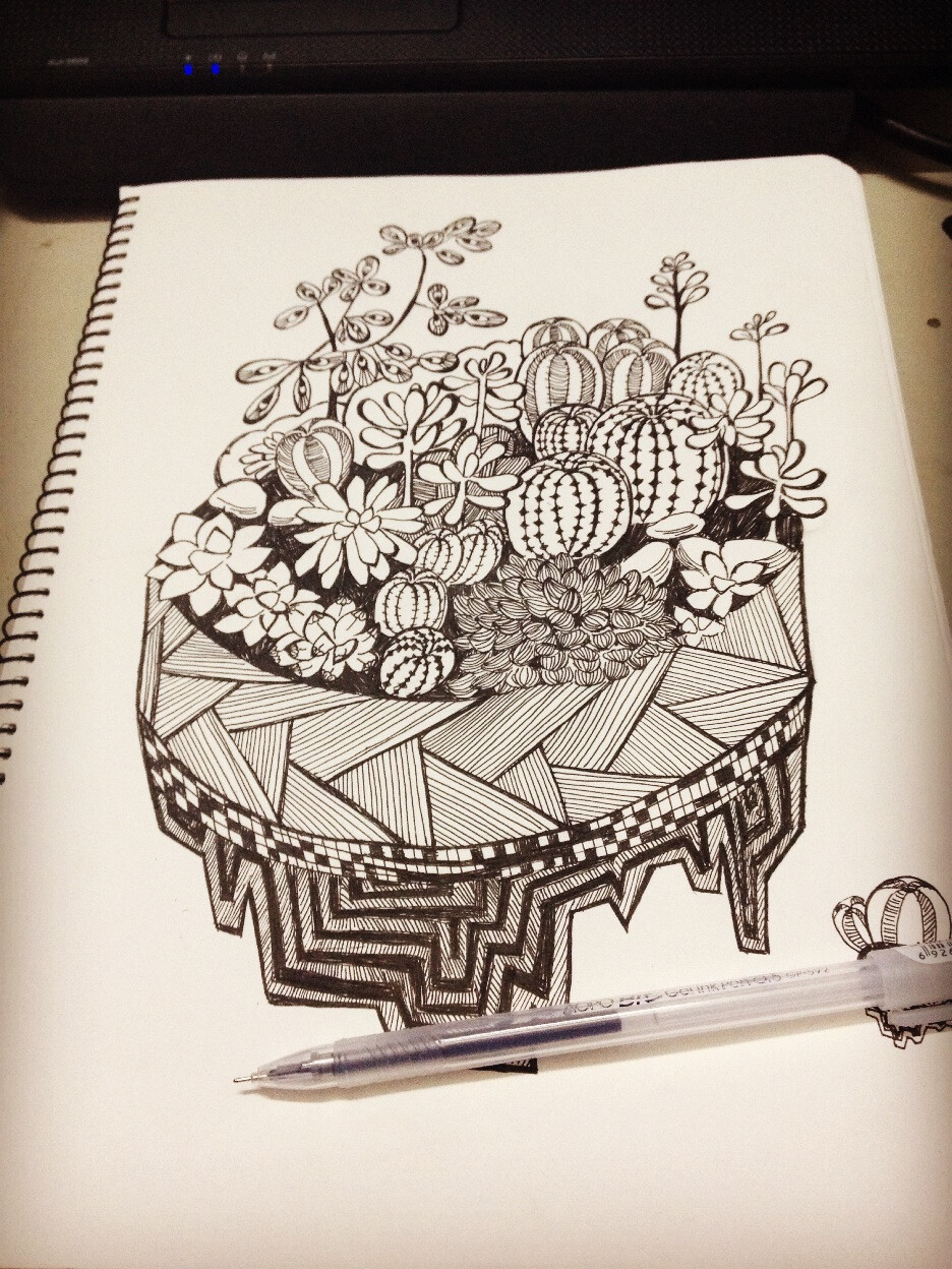 线描 装饰画 植物 插画 钢笔画