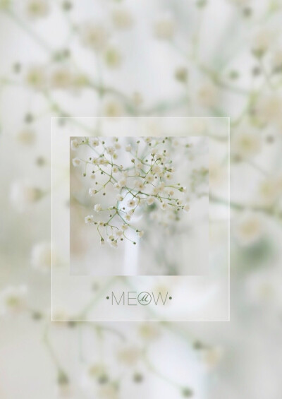 满天星的花语是：清纯、关怀、思恋、配角、真爱以及纯洁的心灵。