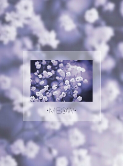 满天星的花语是：清纯、关怀、思恋、配角、真爱以及纯洁的心灵。