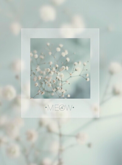 满天星的花语是：清纯、关怀、思恋、配角、真爱以及纯洁的心灵。