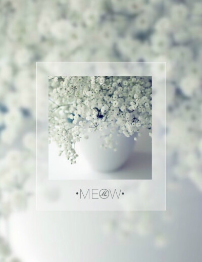 满天星的花语是：清纯、关怀、思恋、配角、真爱以及纯洁的心灵。