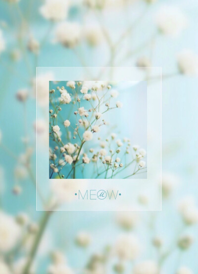 满天星的花语是：清纯、关怀、思恋、配角、真爱以及纯洁的心灵。