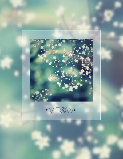 满天星的花语是：清纯、关怀、思恋、配角、真爱以及纯洁的心灵。