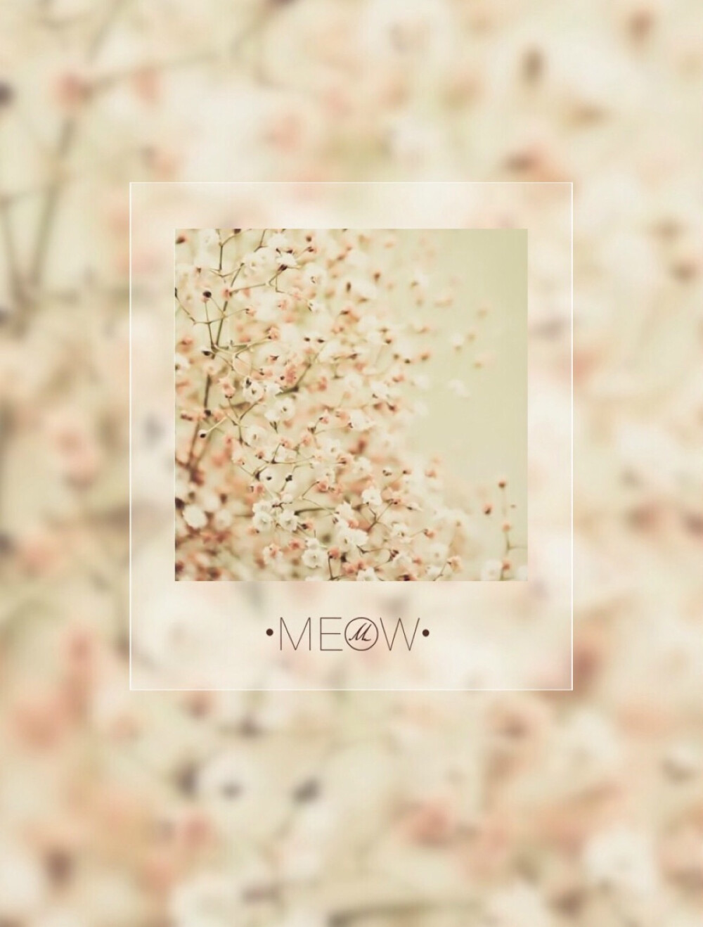 满天星的花语是：清纯、关怀、思恋、配角、真爱以及纯洁的心灵。