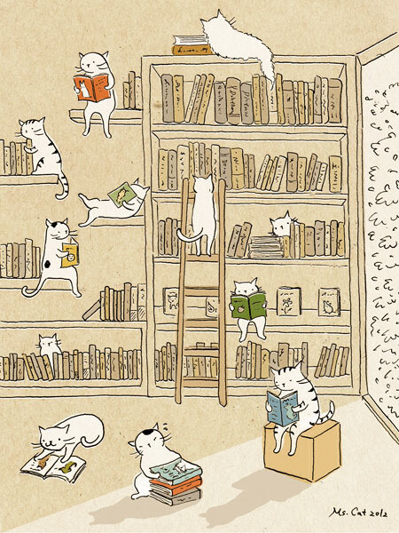 猫咪图书馆。