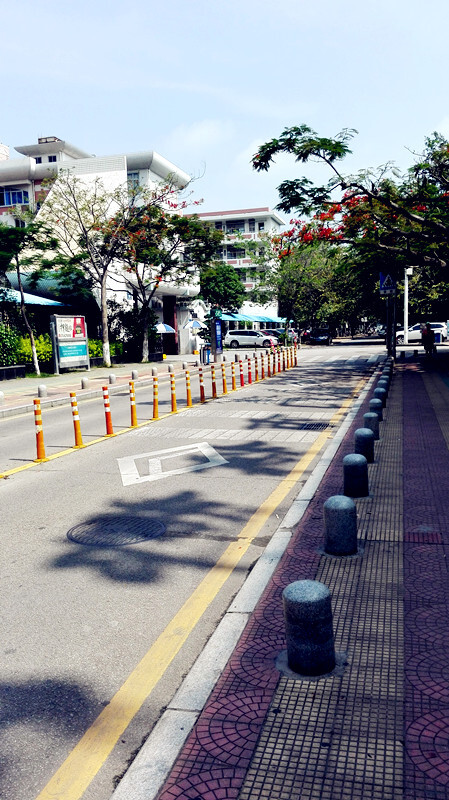 厦门堪比香港的干净街道，而且比香港更加具有亲切气息，不高冷