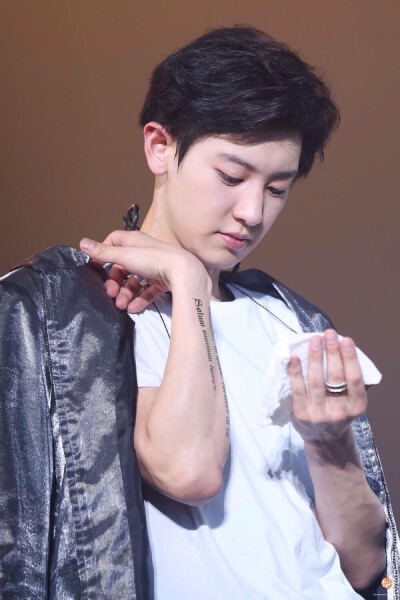 The EXO luXion Chanyeol 朴灿烈