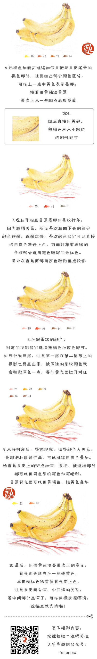 飞乐鸟彩铅绘画教程 高清 侵删