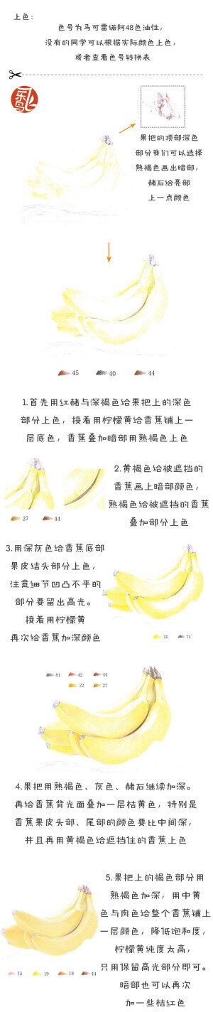 飞乐鸟彩铅绘画教程 高清 侵删