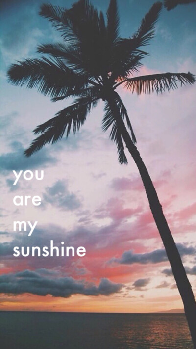 you are my sunshine