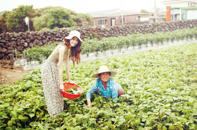 来到农田，看到奶奶在辛勤的劳动着，自己也忍不住来到菜地帮忙。--Photo model 少女时代允儿。